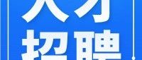 人才招聘河南空港数字城市开发建设有限公司2025年第一批社会公开招聘公告